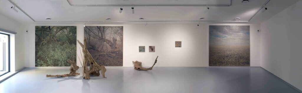 Areas of Transformation, Galerie Pekelné sáně, 2024, 1