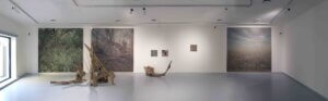 Read more about the article Areas of transformation, Galerie Pekelné sáně, Kroměříž, (CZ)