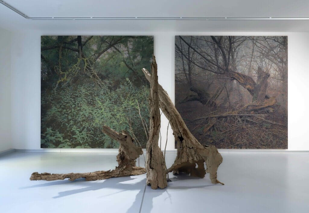 Areas of Transformation, Galerie Pekelné sáně, 2024, 3
