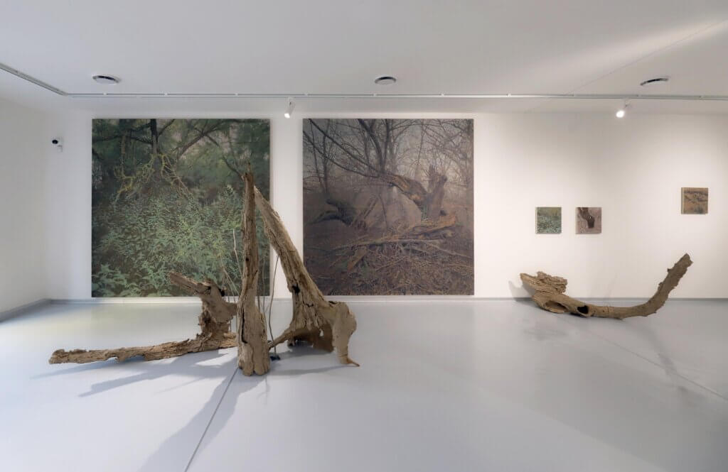 Areas of transformation, (TomáŠ Žemla, Ján Zelinka, Lucia Tálová) Galéria Pekelné Sáne