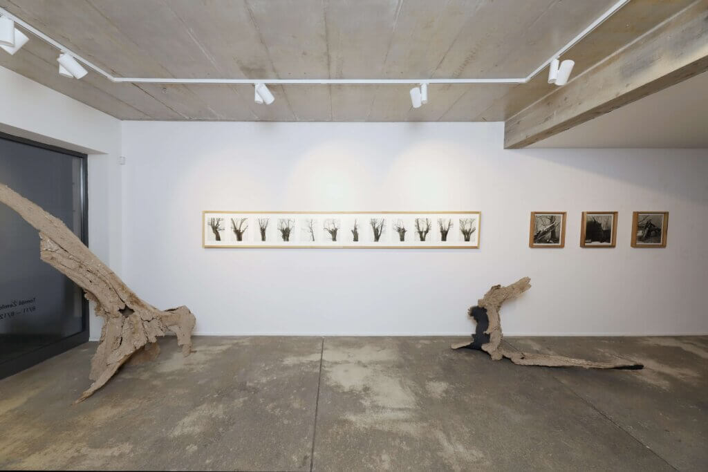 Defragmentation, Art books Gallery, Bratislava, 2023
