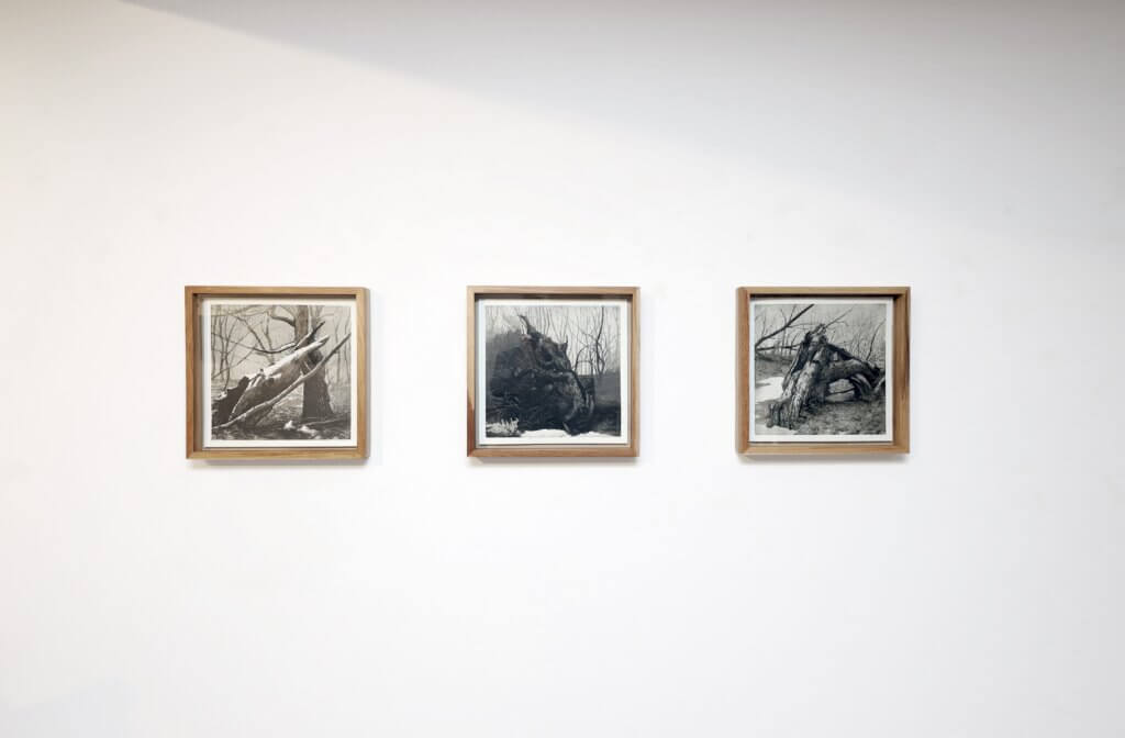 Defragmentation, Art books Gallery, Bratislava, 2023, 3