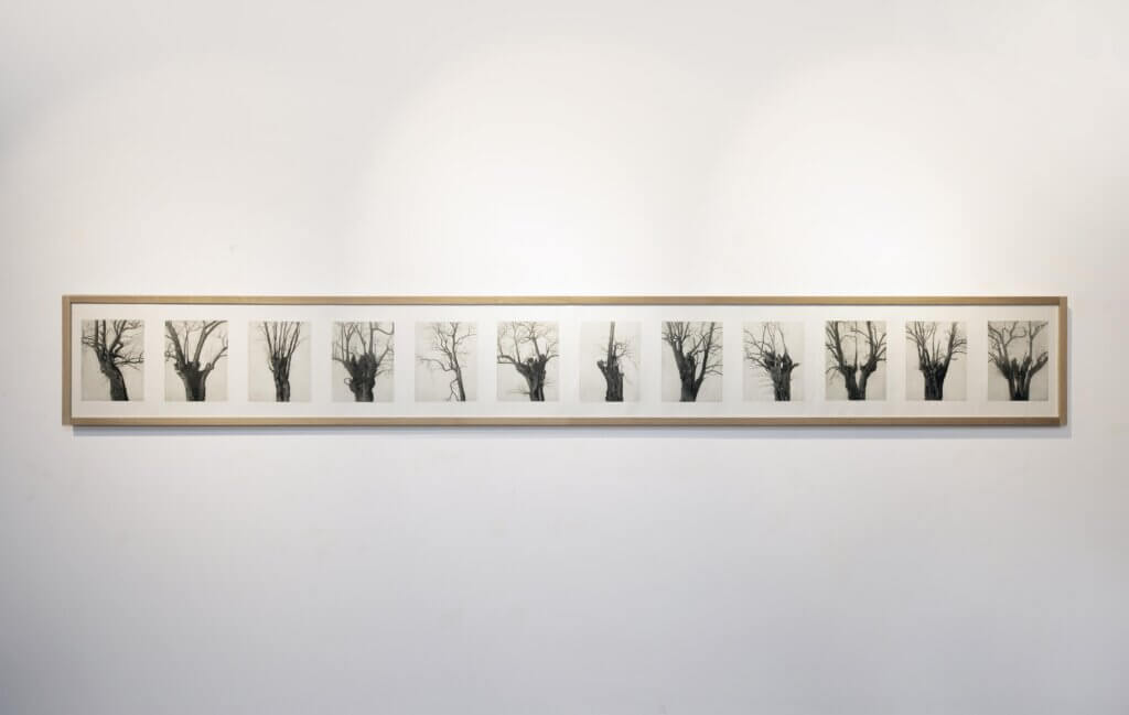Defragmentation, Art books Gallery, Bratislava, 2023, 4