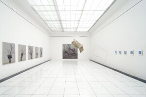 Read more about the article Phase – Shift, Galerie Nová Síň Galerie Pekelné sáně, Praha, (CZ)
